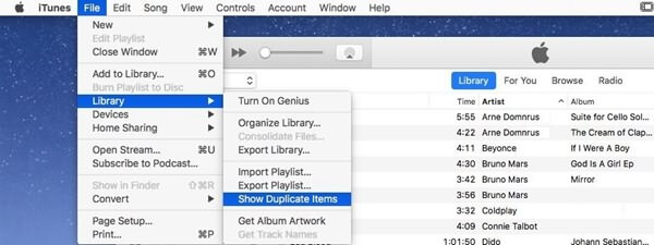 iTunes Показать повторяющиеся элементы