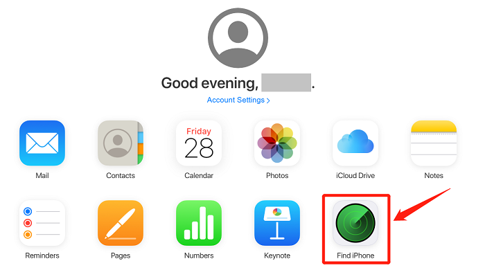 Choose iCloud Find My Feature