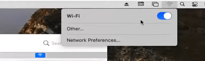 Network Preferences Interface