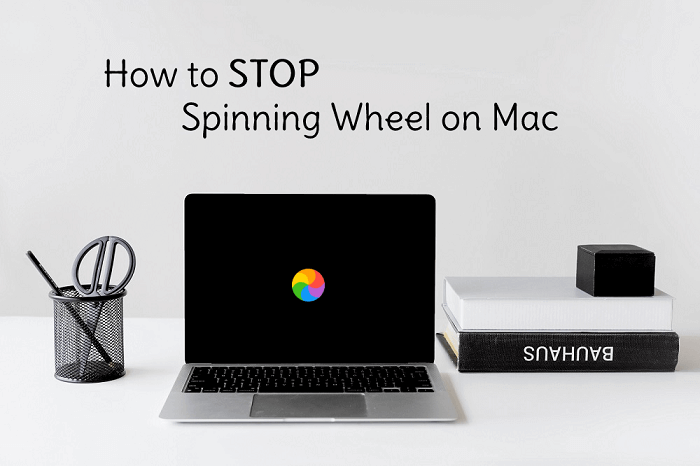 Spinning Wheel Mac
